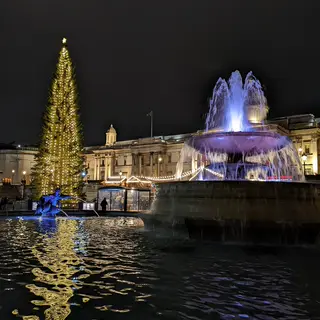 Julgranen och fontänen på Trafalgar Square